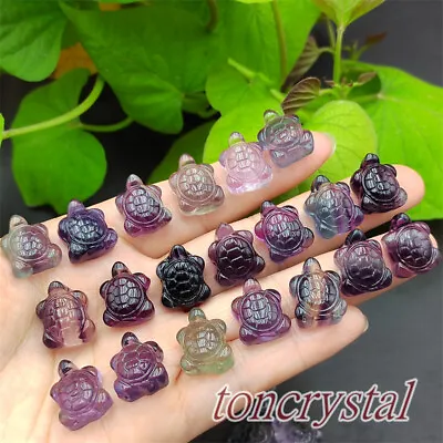 10pcs Natural Fluorite Turtle Mini Quartz Tortoise Carved Crystal Skull Healing • $18.68