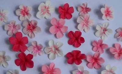 25 Edible CHERRY BLOSSOMS Cake Decorations CUPCAKE TOPPER Wedding Christening • $14.48