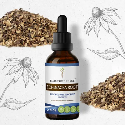 Secrets Of The Tribe Echinacea Root Tincture Alcohol-FREE • $21.97