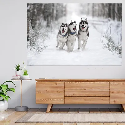 £29.99 • Buy Siberian Husky Dog Running In Snow 3d View Wall Sticker Poster Decal A94