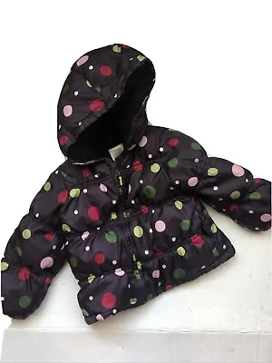 Gymboree Toddler Winter Coat Pups And Kisses Puffer Coat Polka Dot 2t • $14.99