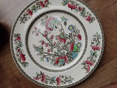 £11.99 • Buy Johnson Brothers Indian Tree Dinner Plate (10inches)