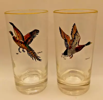 2 Vintage Carwin Hand Painted FLYING GOOSE Highball Glasses • $14.99