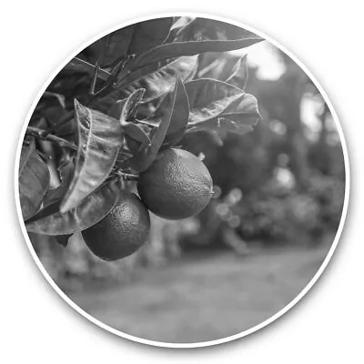 2 X Vinyl Stickers 15cm (bw) - Citrus Fruits Lime Tree Fruit  #37618 • £3.99