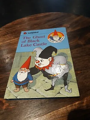 David The Gnome The Ghost Of Black Lake Castle Ladybird Book Series 8920 • £2