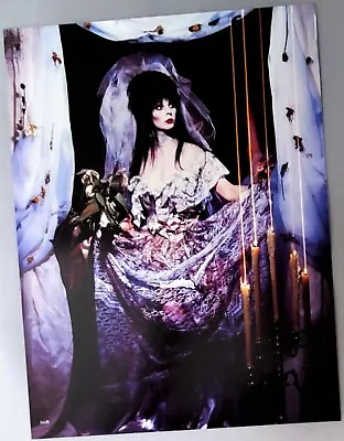 Elvira Mistress Of The Dark Poster Photograph Scary Halloween • $19