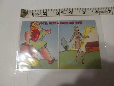 Vintage Post Card Politically Incorrect Humor WWII WAC Recruiting Office Never • $7.99