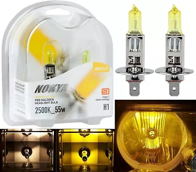 Nokya 2500K Yellow H1 Nok7617 55W Two Bulbs Fog Light Replacement Plug Play Lamp • $22.80