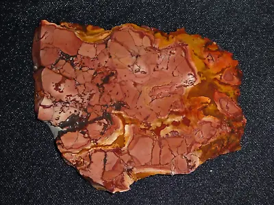 Fire Ledge  Jasper Slab-5 1/4  X 3 7/8   -  Rough  For Cabbing-display Hobby • $15