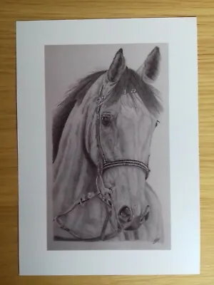 £2.50 • Buy RACE HORSE PICTURE Equine A5 Unframed Print Gift Original Drawing Animal Art 