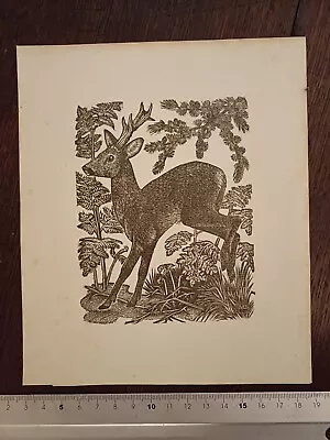 Original Linocut? Print Of A Deer • £20