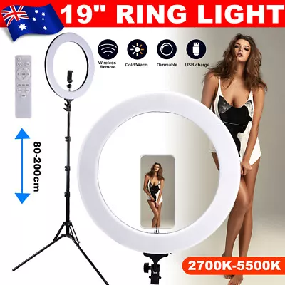 $77.95 • Buy 19  Dimmable Diva LED Ring Light Selfie Tripod Stand Video Studio Phone Holder