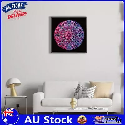 AU 5D DIY Partial Special Shaped Drill Diamond Painting Mandara Home Decor (XD12 • $9.89