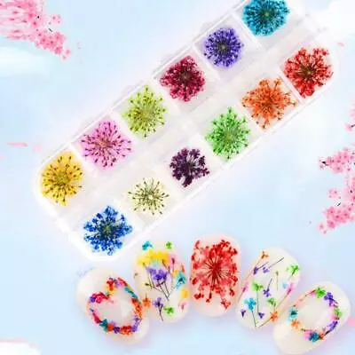 24Pcs Real Pressed Flower Lace Dried Flower Nail Art Resin Jewelry Making Kit • $7.68