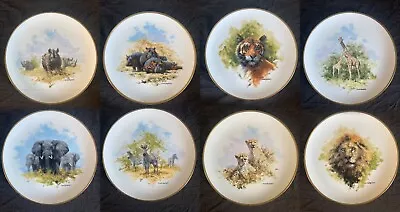 David Shepherd Wildlife Collection Limited Edition Plates - Set Of 8 • £68