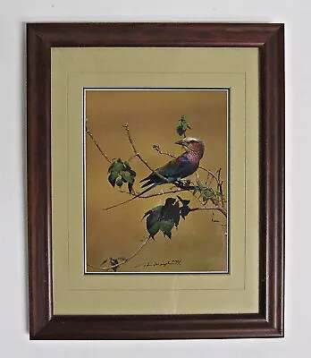 Thomas D Mangelsen Signed & Numbered  African Colors - Lilac Breasted Roller   • $175