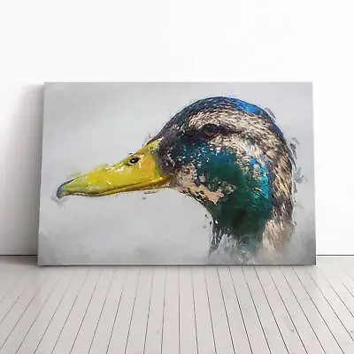 Mallard Duck Moulting In Abstract Animal Bird Canvas Wall Art Print Framed • £29.95