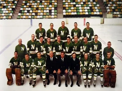 1967- 68 1st Season Minnesota North Star Team Picture Color 8 X 10 Photo Picture • $5.99