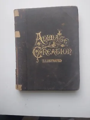 Vintage 1898 Animate Creation Illustrated Our Living World By Rev J G Wood Vol6 • $75