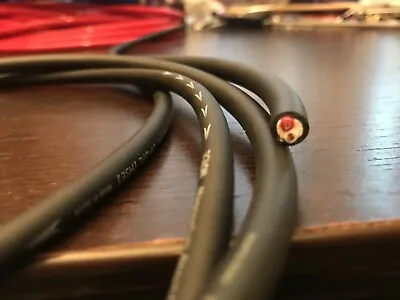 Tiglon Lionesses HSE Ultimate Speaker Cable 1 Meter Hi End  Cable Japan • $29