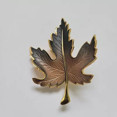 Vintage Maple Leaf Brooch Pin Brown Ombre Gold Tone Fashion Jewelry  • $10