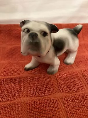 ❤️vtg Japan English Bulldog. 3” Tall 4-1/2” Wide  • $20