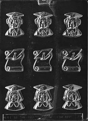 $7.95 • Buy M025 Bite Size Graduate Chocolate Candy Soap Mold With Instructions 
