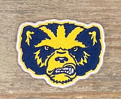 $15.95 • Buy Retro University Of Michigan Wolverines Mascot Patch