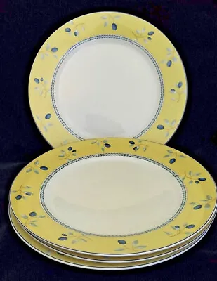 £36.61 • Buy 4 Royal Doulton Blueberry Pattern Dinner Plates 10.25 Inches