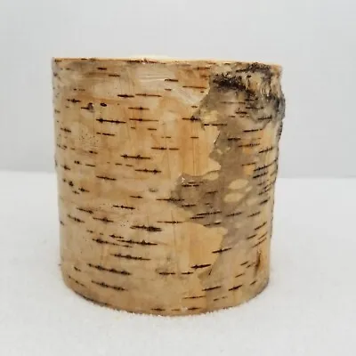 $24.99 • Buy Pottery Barn Birch Bark Real Wax Pillar Candle Unscented New Cabin