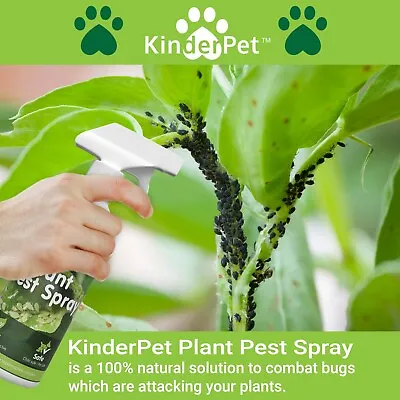 £16.95 • Buy Plant Spray Organic Eco Greenfly Blackfly Whitefly Aphids Spider Mites 500ML
