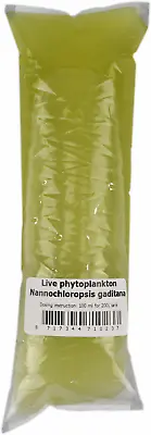 Live Phytoplankton - Nannochloropsis Gaditana 100ml • £1.99
