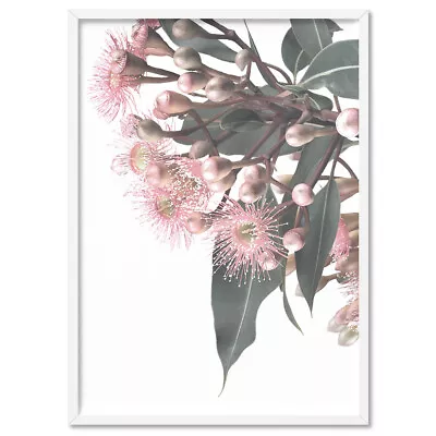 Eucalyptus Flowers In Blush I Art Print. Gum Leaves Buds Art Print | PLT-122 • $64.95