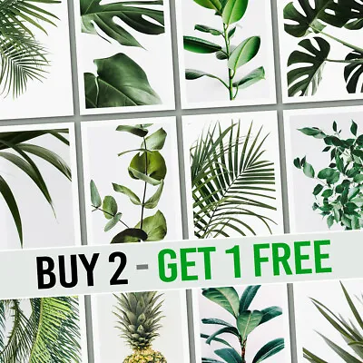 Green Botanical Tropical Leaf Posters Wall Art Prints Living Room Décor Pictures • £5.99