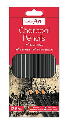 12 X Charcoal Pencil Set Bendable Long Last Artist Sketch Drawing Art Craft 5148 • £3.38
