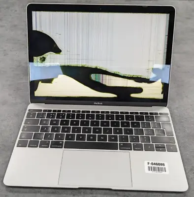 Apple MacBook  Core M  1.2 12  (Early 2015) 8GB RAM 512GB SSD - Faulty Screen • £130