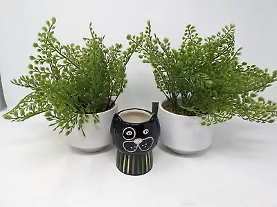 Faux 10  Maidenhair Fern In Modern Pot X2 & Bonus Small Dog Themed Ceramic Pot • $6.98