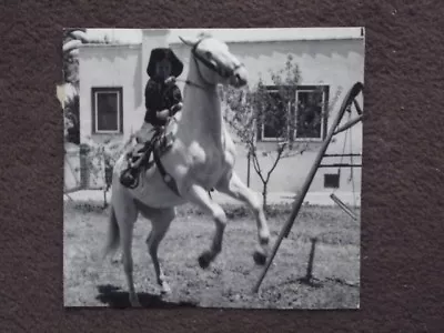 YOUNG COWBOY WITH REARING HORSE IN BACKYARD BY SWING Vtg 1950's PHOTO • $7.99