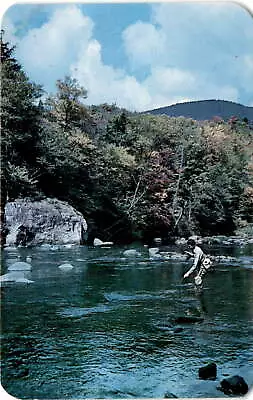 Vintage Alpens Michigan Postcard - Stream Fishing • $10.75