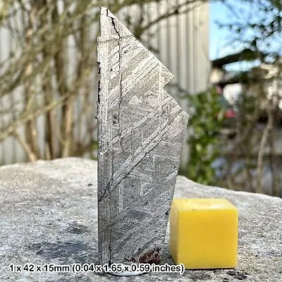 Certified Rare Muonionalusta Meteorite Slice - Widmanstatten Space Rock - • $106.10