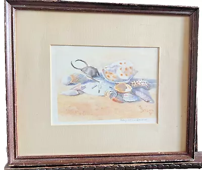 Rare Mary Ellen Golden Watercolor Painting Of Collected Shells • $50