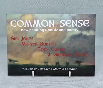 Common Sense - Gigi Jones: New Paintings Music & Poetry With Disc 2012 • £24.95