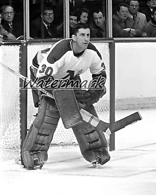 NHL 1970's Minnesota North Stars Goalie Cesare Maniago No Mask  8 X 10 Photo • $5.99