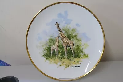 Wedgewood The David Shepherd Wildlife Collection Plate - Giraffe 26cm (MO) • £2.99