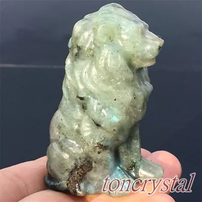 2.2  Natural Labradorite Lion Skull Carved Quartz Crystal Skull Healing 1pc • $13.93