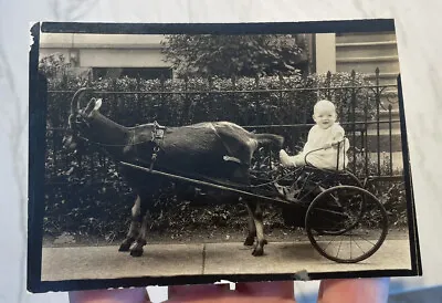 1925 Baby In GOAT CART WAGON Vintage Snapshot PHOTO Image • $20