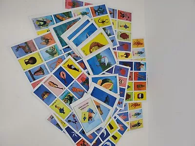 Authentic Loteria Card Game Mexican Bingo • $9.82