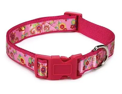 $10.99 • Buy Spring Garden Dog Collar Pink  Dog Collars Zack & Zoey Nylon Floral