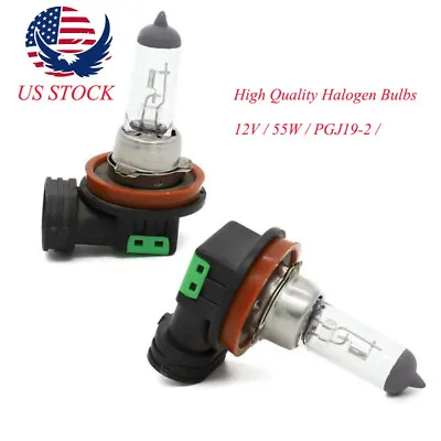 2x Halogen Long Life Bright 12V Head Lamp Light Headlight Bulbs H11/64211L H11L • $7.99
