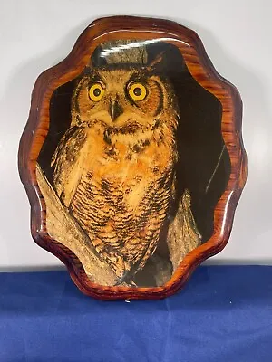 Vintage  Horned Owl Wall Plaque Wooden  Bird Wildlife Hanging Retro • $14.99